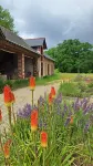 Ecolodges de Loire & Spa Hotels in Chavagnes