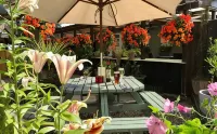 Sibton White Horse Inn Hotels in Badingham