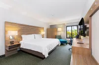 هوليداي إن إكسبرس  ان يوزي ك ستا ريكا أيربورا باي آيتش جي فنادق في 