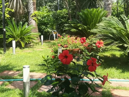 Beatrice Home Отели рядом с достопримечательностью «Museo Vesuviano»