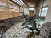 Hotel Yuzawa Yuzawa Denkiya - Hot Springs
