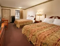 데이즈 인 에릭