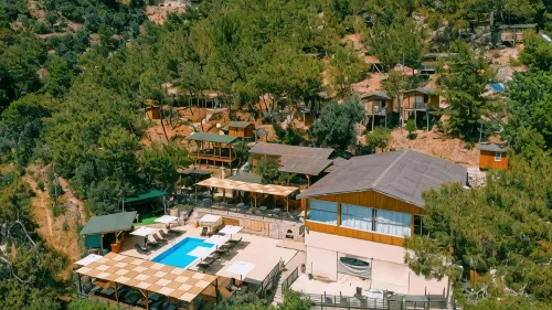 Tree Houses Hotel Отели в г. Uzunyurt Mahallesi