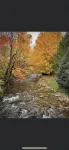 Spacious Farmhouse in Maggie Valley - Chalets