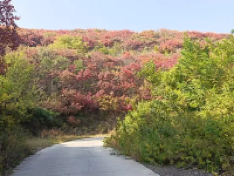 狀態公寓（北環路2號分店）