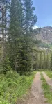 Charming cabin with WiFi in Silver Gate/Cooke City