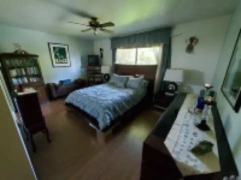 Colorful Warm Weather Jewel House 10,000 sq ft lot.