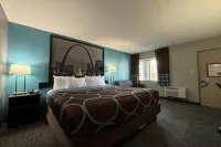 Super 8 by Wyndham Belleville IL/St. Louis Area Hotels in Belleville