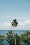 Tahuna Beach Hotel and Resort - 駐車場