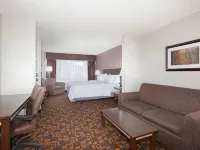 Holiday Inn Express & Suites YANKTON by IHG Hotels in Yankton