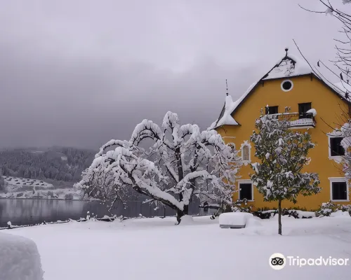 Hotel See-Villa Hotels in Millstatt