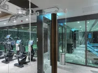 Naz City Hotel Taksim - Special Category - palestra
