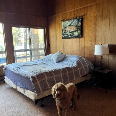 Vintage 4-bedroom cabin in Lake Almanor West with WiFi Отели в г. Пламас Каунти