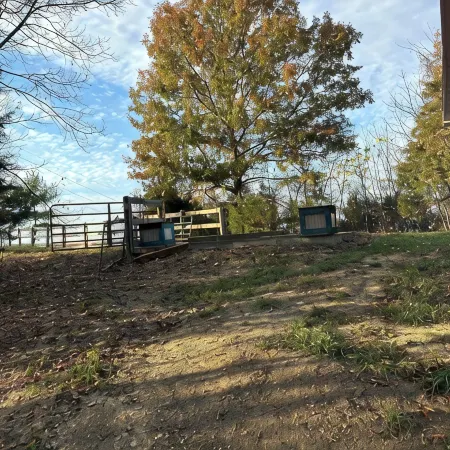 Charming 1-bedroom cottage with WiFi and AC in lovely Stamping ky