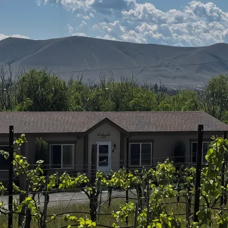 Amidst the vines @ Ambassador House