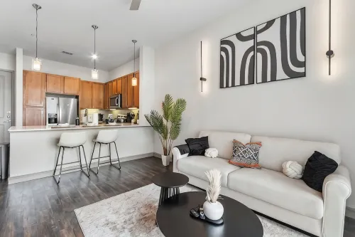 Downtown Houston Modern Elegant Loft with Free Parking/WiFi/Skyview/Pool - Kondo