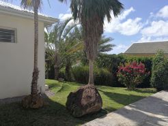 Comfortable villa, swimming pool, tropical garden, near beach st Anne, 8 pers