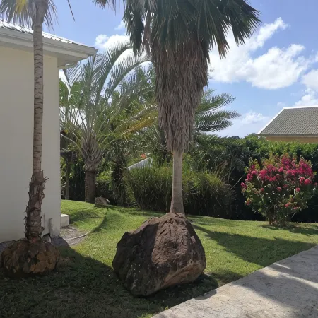 Comfortable villa, swimming pool, tropical garden, near beach st Anne, 8 pers