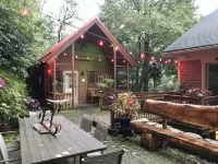 Cabin In the Trees In historic Jim Thorpe, on the side of Flagstaff Mountain - 3-Star