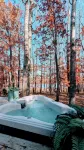 Modern Cabin-HotTub -Lake Peaceful Escape! - Chalets
