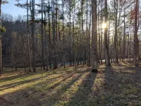 Peacefull, Private Cabin! 140 Acres,Mile of River Trails! 10 Minutes to Rt.151!