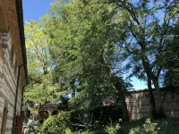 Cottage in the green, a stone's throw from the sea Hotels in Numana