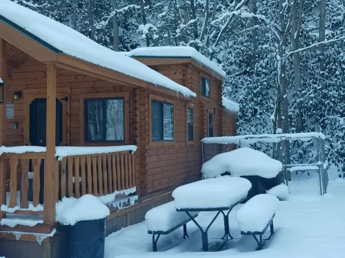Forest Getaway