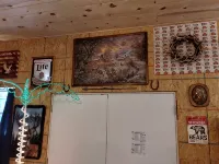 Rustic 2-bedroom cabin next to 1000+ acre Conservation area near Mark Twain Lake - Homestays