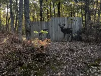 Rising Fawn Barn Guesthouse in the Woods on Lookout Mountain GA. Hôtels à : Comte de Dade