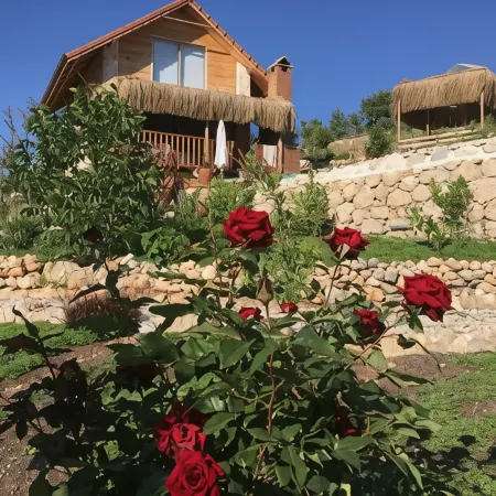 Ambar Evleri