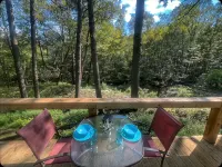 Remote Waterfall Cabin at Swiftwater Acres