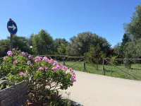Camping Valle dei Templi