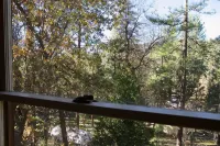 Twin Rock Tree House - Vintage Cabin