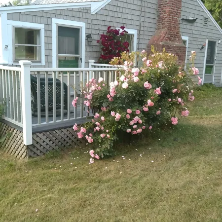 Quaint Retro Ash Cove Cottage