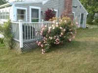 Quaint Retro Ash Cove Cottage - Wifi