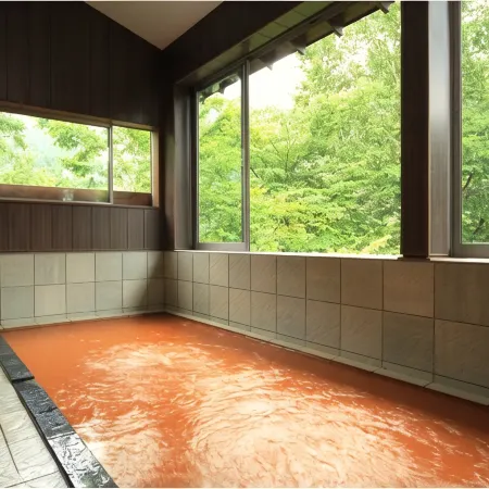 Tengu Onsen Asama Sanso