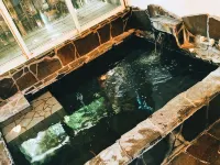 Morinouta Inn Hotels near Urami Waterfall