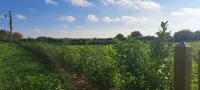 Massive 4 bed with countryside views in Peterborough - 4つ星