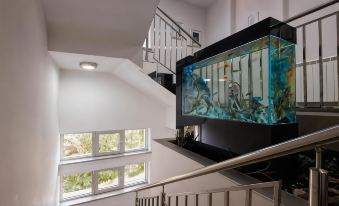 Apart K Apartments & Rooms - Housity
