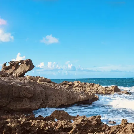 Surfers/backpackers Paradise ドラドのホテル