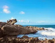 Surfers/backpackers Paradise