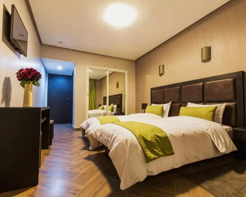 Hotel Swani メクネスのホテル