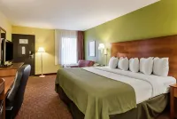 Quality Inn - Wifi
