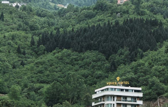 Voice Hotel