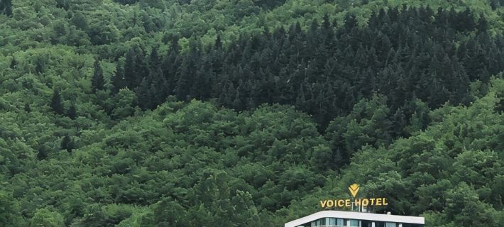 Voice Hotel Hotels in Maçka