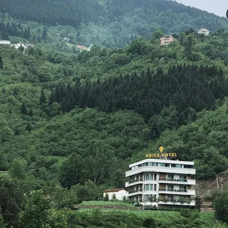 Voice Hotel