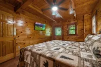 Central Location with Wooded Views and Hot tub