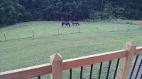 The Ranch in Mt Airy - 3 tähden