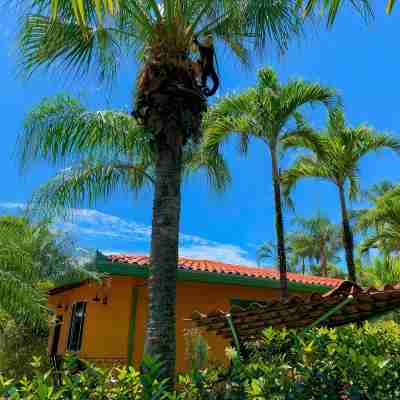 Slow M'Ocean in the Heart of Manuel Antonio 3 bed 3 bath Hotel Exterior