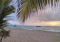 Williams Manor [Across From Ricks Cafe Negril] - 빌라